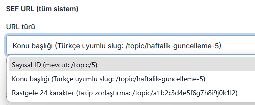 sef-url.png